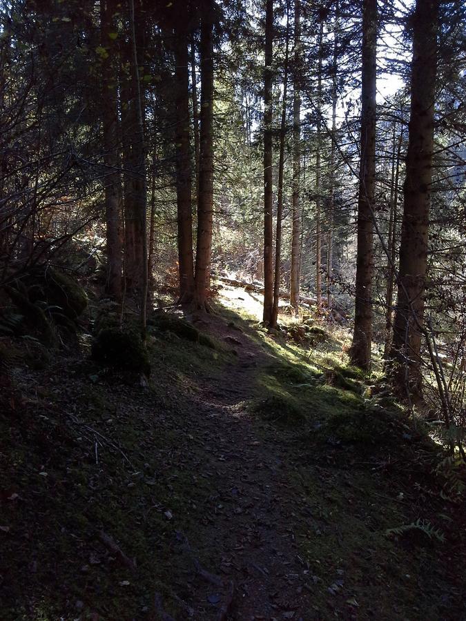 فيلا Le Tretienفي Lieu Secret Dans Les Alpes Suisses المظهر الخارجي الصورة