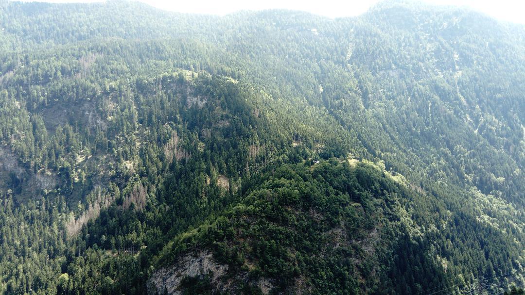 فيلا Le Tretienفي Lieu Secret Dans Les Alpes Suisses المظهر الخارجي الصورة