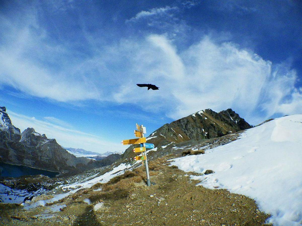 فيلا Le Tretienفي Lieu Secret Dans Les Alpes Suisses المظهر الخارجي الصورة