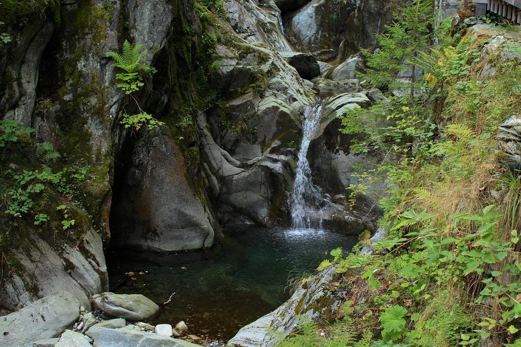 فيلا Le Tretienفي Lieu Secret Dans Les Alpes Suisses المظهر الخارجي الصورة