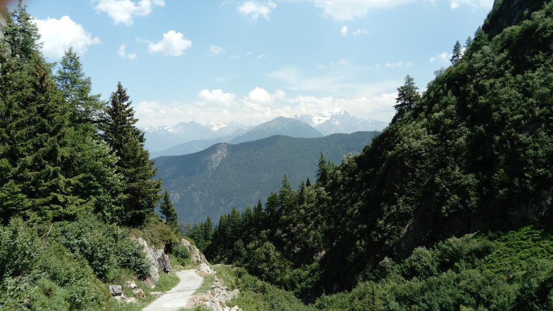 فيلا Le Tretienفي Lieu Secret Dans Les Alpes Suisses المظهر الخارجي الصورة